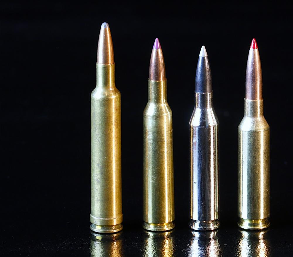 На фото слева направо: .308, .260 Remington, 6.5 Creedmoor, 6.5x47 Лапуа. 