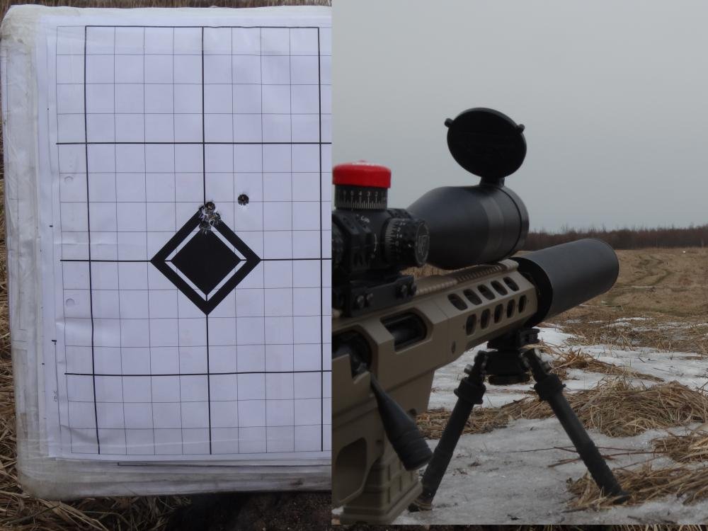 Tikka 300m.jpg