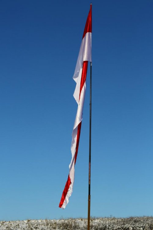 F34A1872 (683x1024).jpg