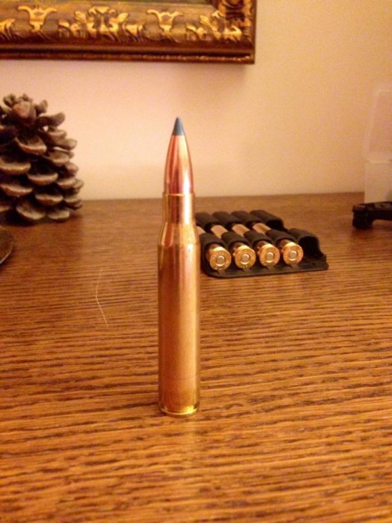 Nosler BST-180.jpg