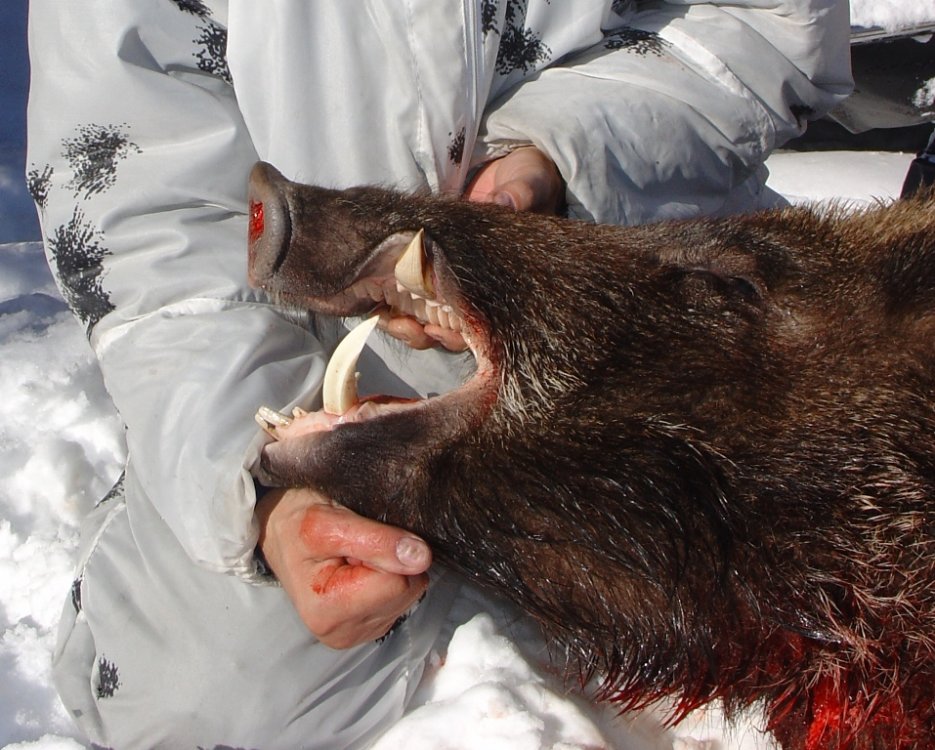 упор 051 - копия.jpg