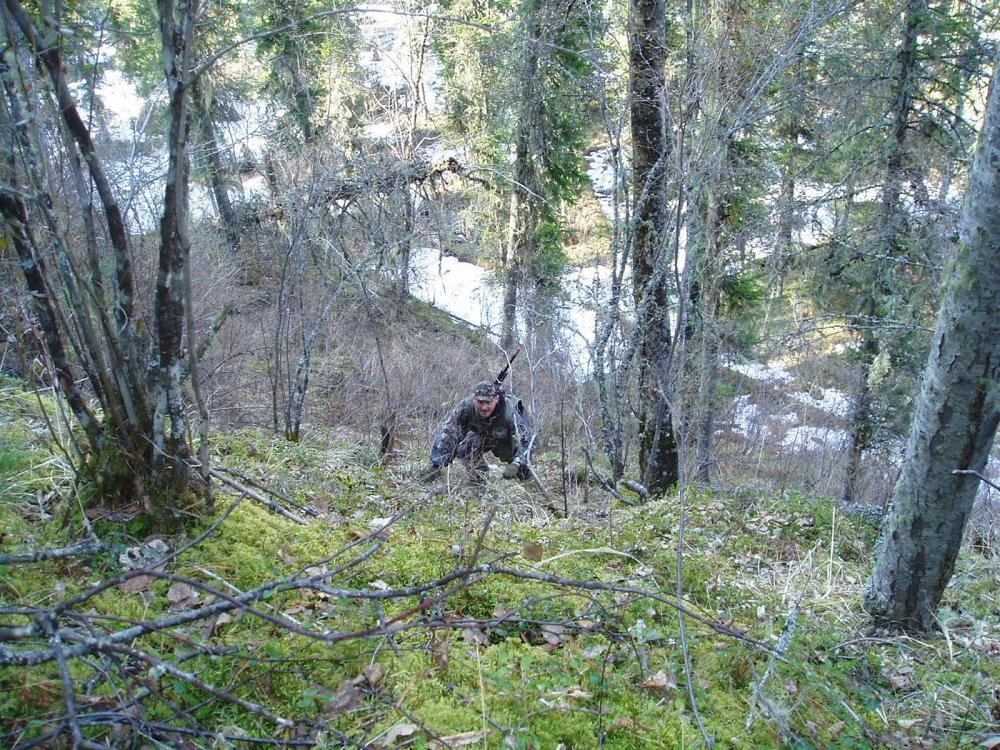 Изображение бенчрест 195.jpg