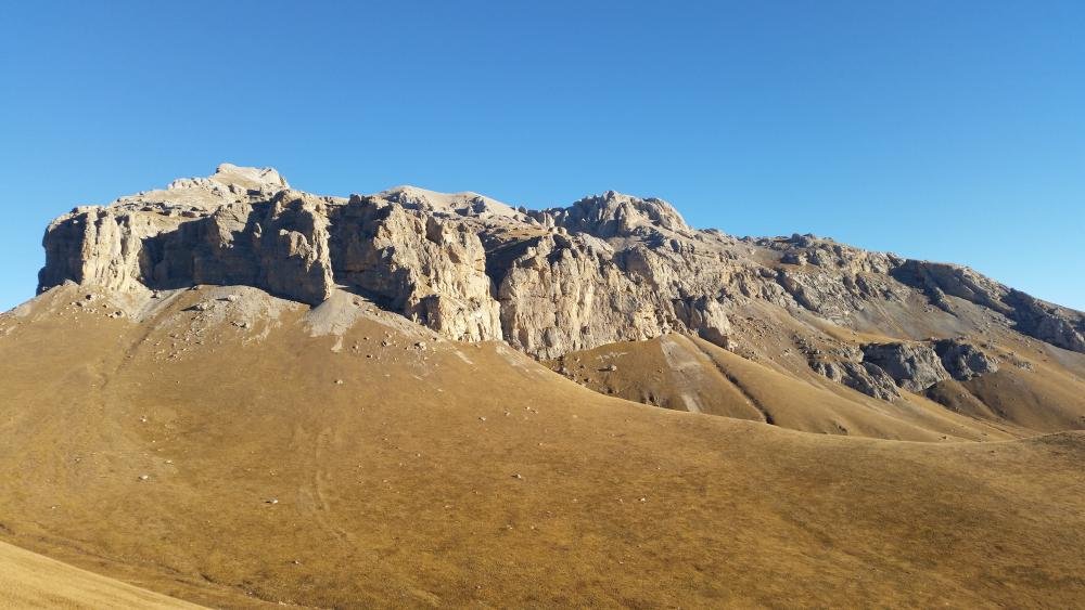 20141012_083053 (1).jpg