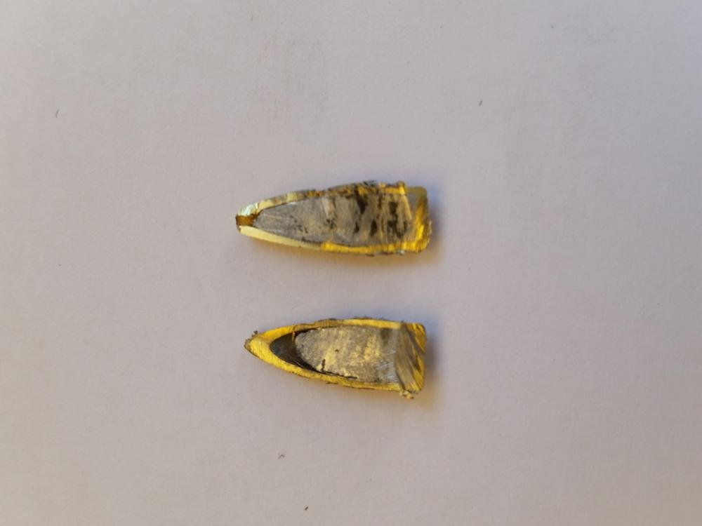 Пуля фиочи.jpg