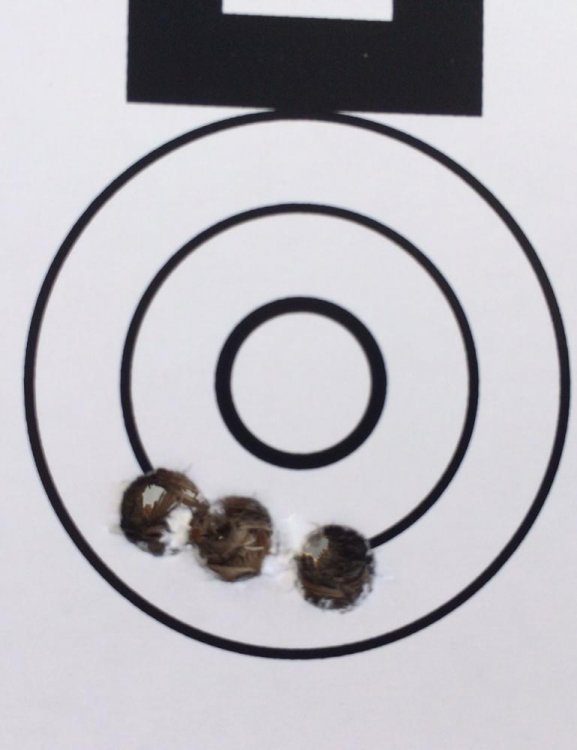 FullSizeRender (100).jpg