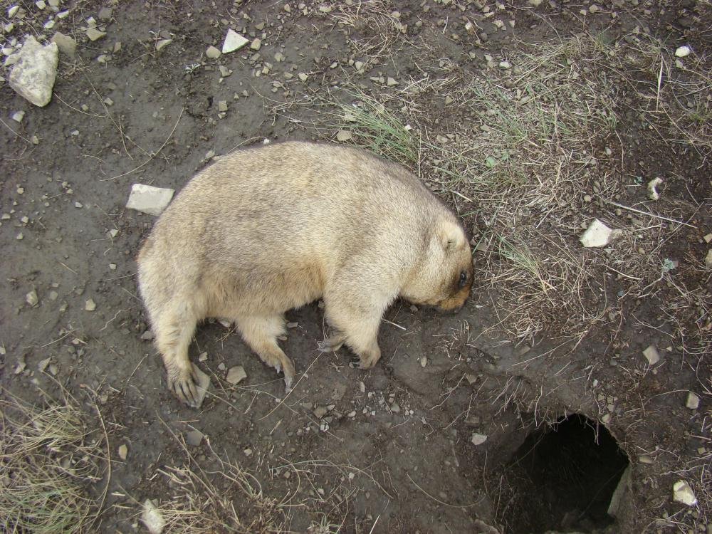 15.08.2010 с 245 метров 5.8 кг.jpg