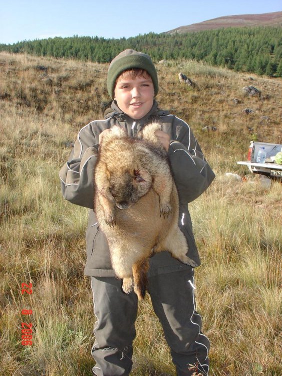 монголия 031.jpg