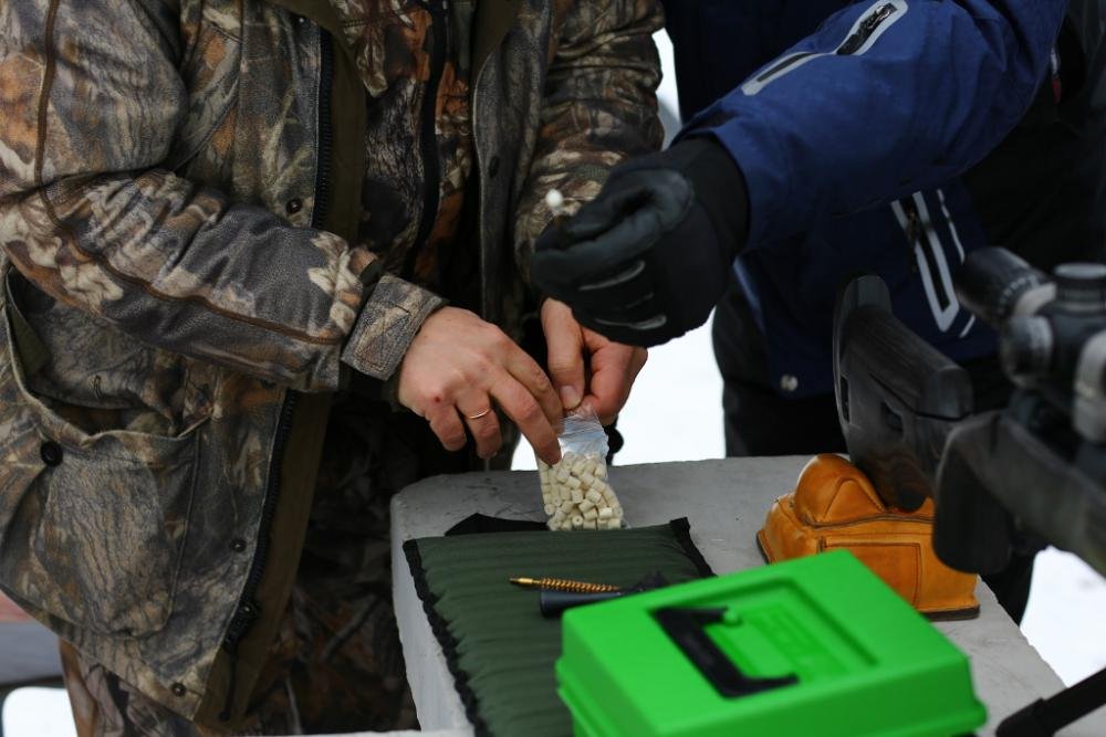 F34A1895 (1024x683).jpg