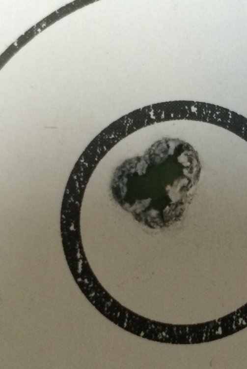 FullSizeRender (4).jpg