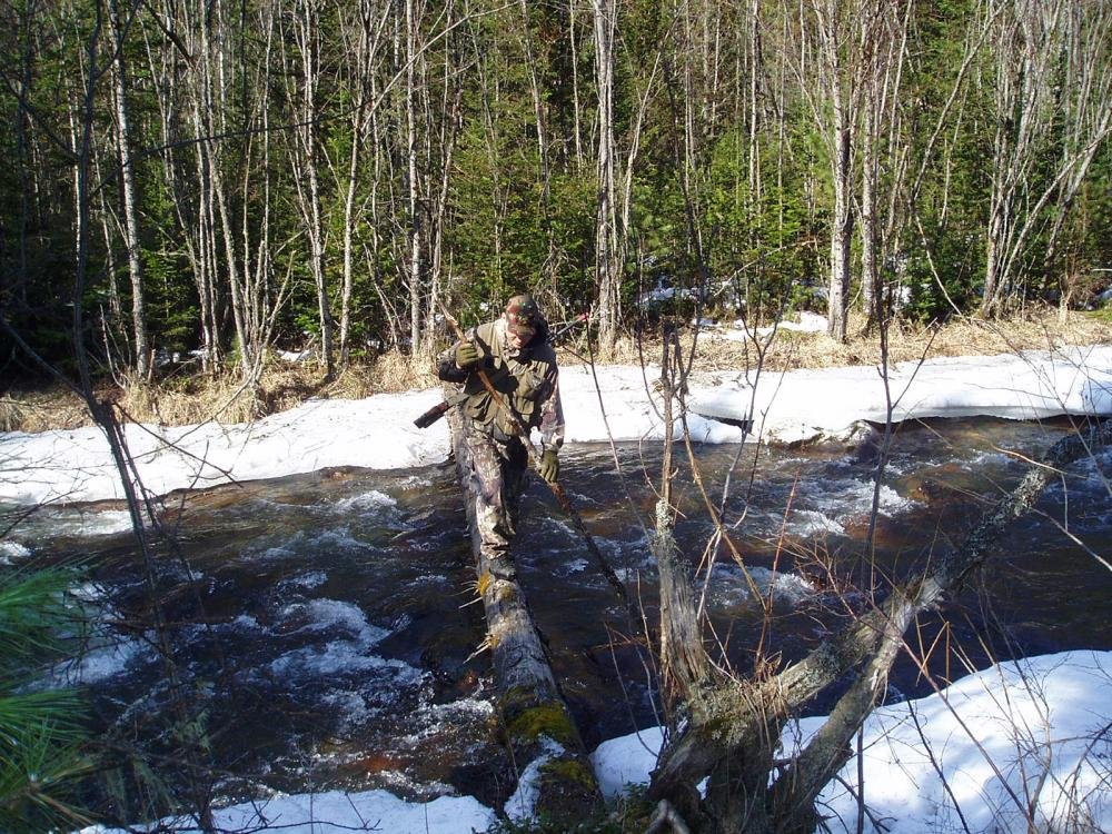 Изображение бенчрест 193.jpg