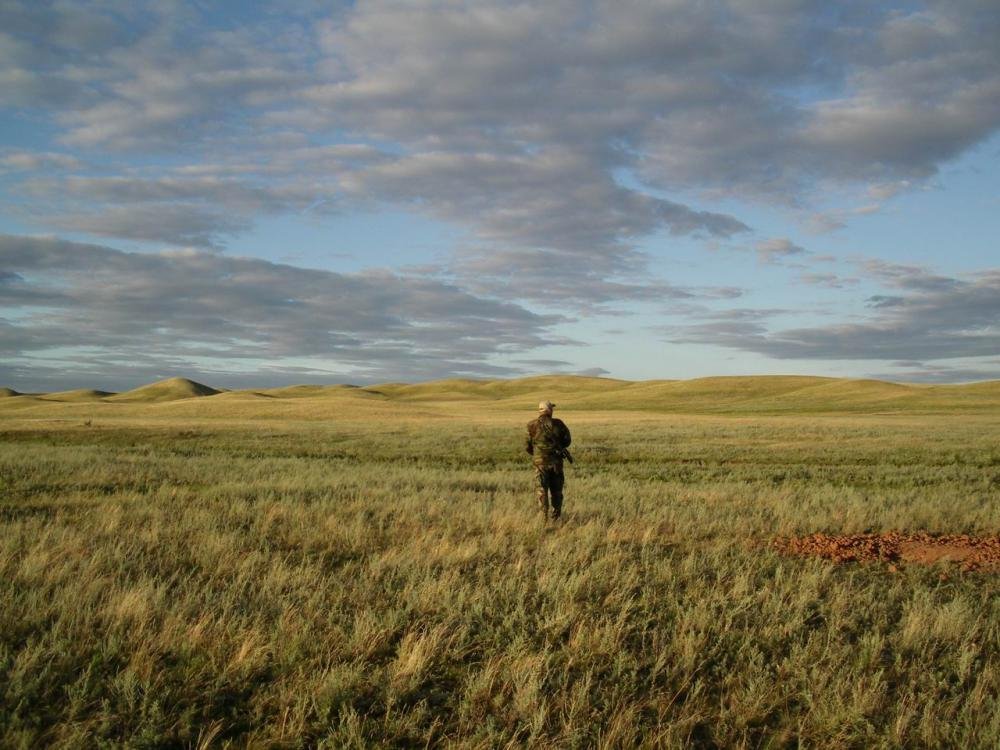 Изменение размера IMGP1276.jpg