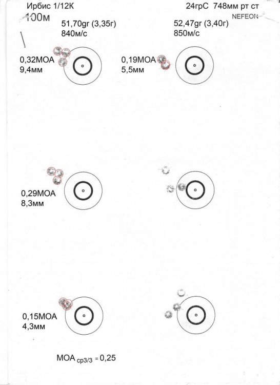 Скан Мишень попадания.jpg