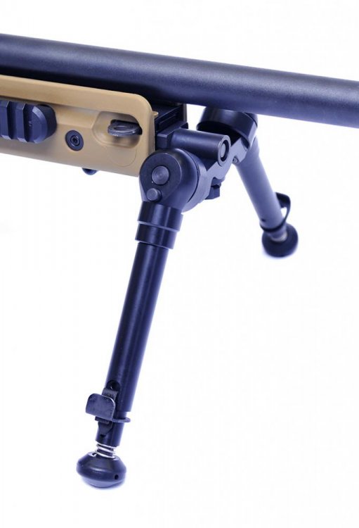 AX_Bipod.jpg