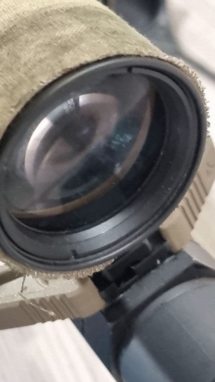 photo_2025-02-06 20.37.33.jpeg