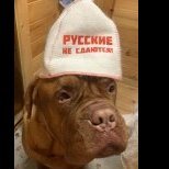 ДМД-А