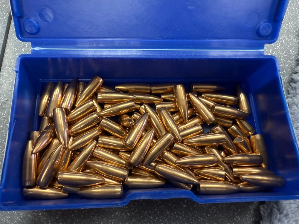 IMG_9387.jpeg